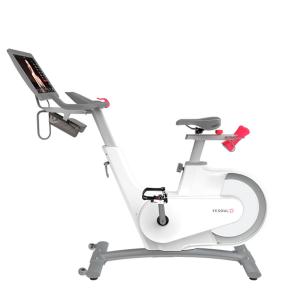 Купить Велотренажер Yesoul BV1-W PLUS в Красныйсулине 